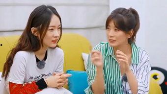 吃瓜娱乐台免费观看完整版,免费畅享明星八卦盛宴